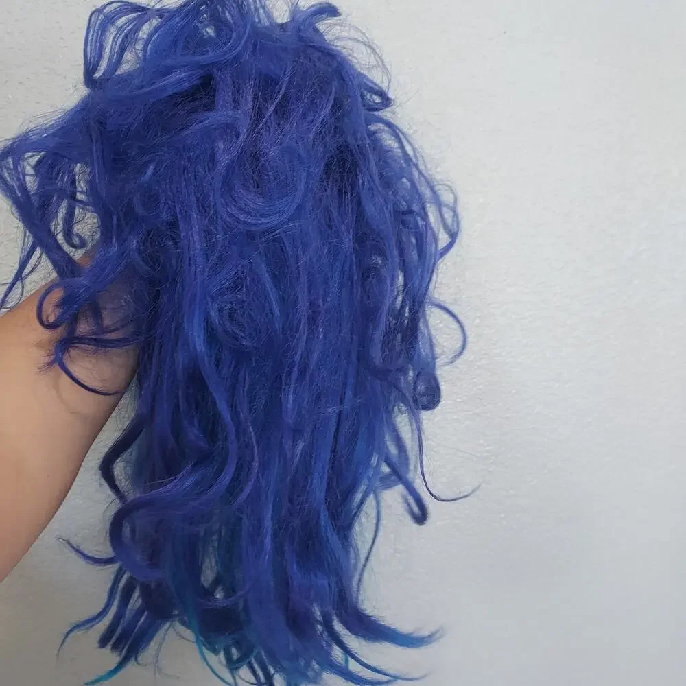 Disney Descendants 3 Blue Coatume Wig - MAL